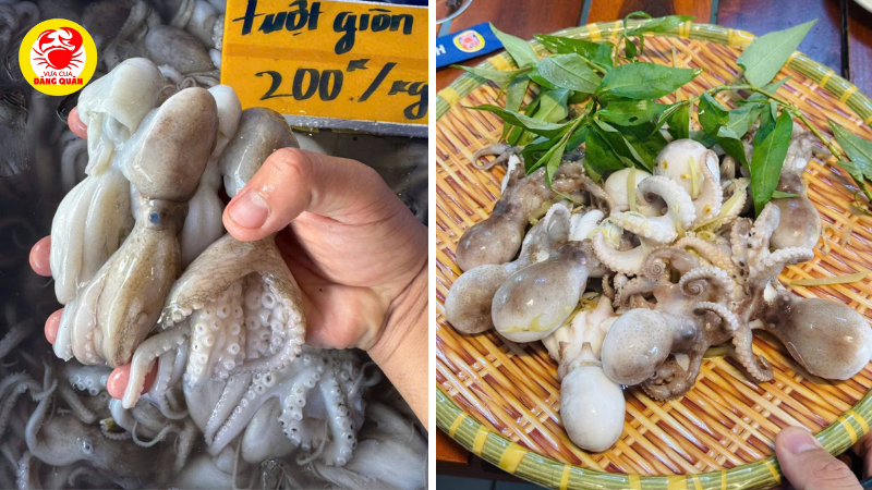 Nguyên liệu bạch tuộc xào thập cảm Nguyên liệu bạch tuộc xào thập cảm