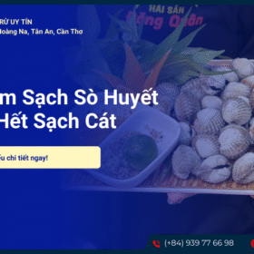 Cách làm sạch sò huyết hết sạch cát