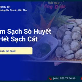 Cách làm sạch sò huyết hết sạch cát
