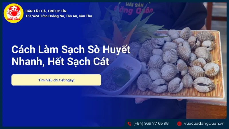 Cách làm sạch sò huyết hết sạch cát