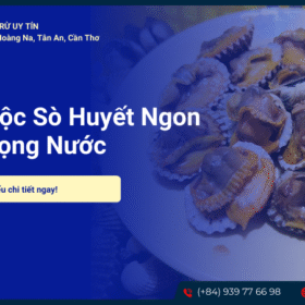 Cách luộc sò huyết