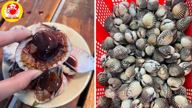 Chất lượng sò huyết tươi