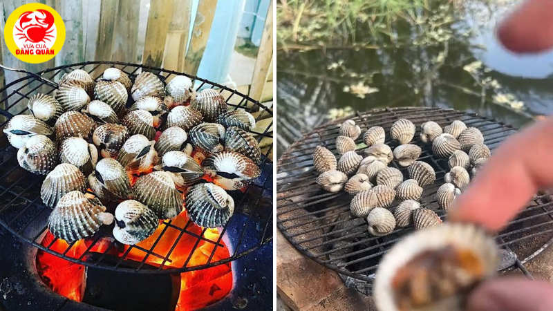 Sò huyết nướng mọi trên vỉ than Sò huyết nướng mọi trên vỉ than