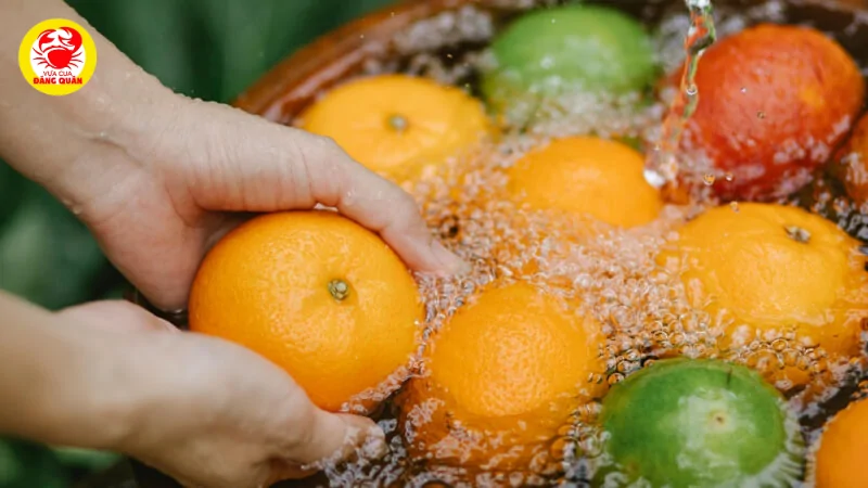 Chuẩn bị và lựa chọn