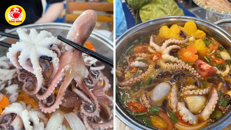 Nguồn dinh dưỡng dồi dào