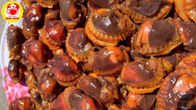 Dinh dưỡng của sò huyết