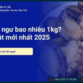 Giá bào ngư