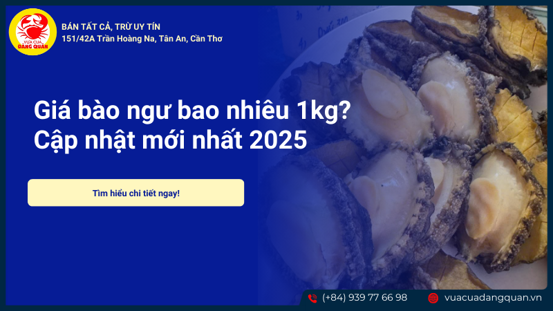 Giá bào ngư