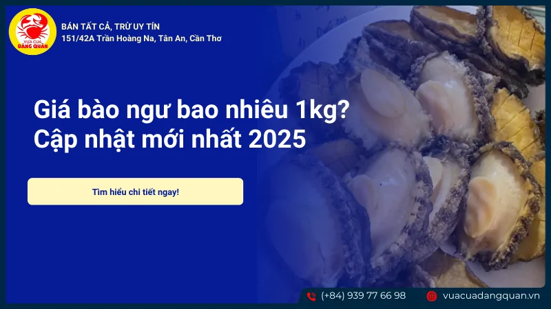 Giá bào ngư