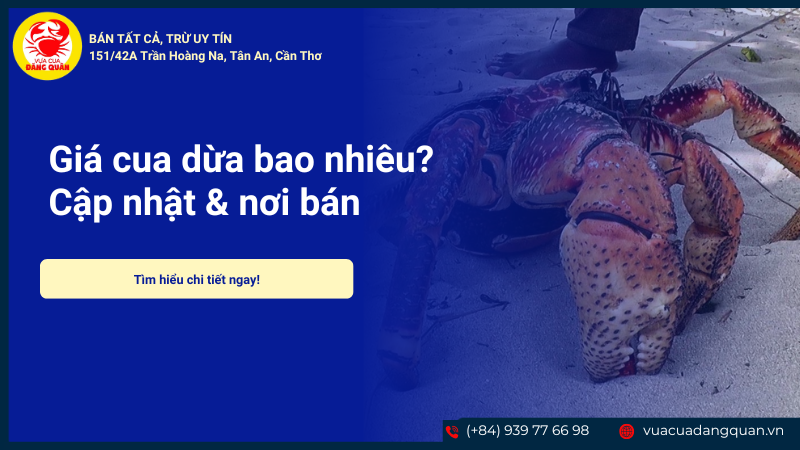 Giá cua dừa bao nhiêu 1kg