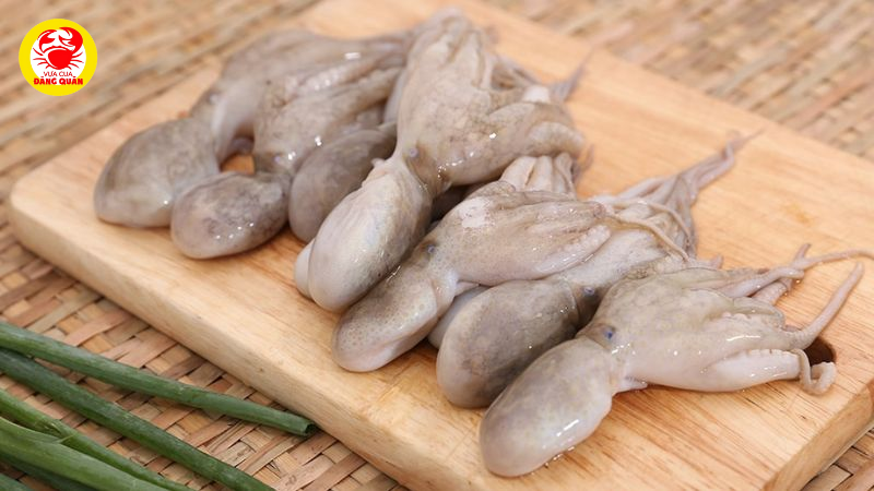 Giá trị dinh dưỡng vượt trội trong 100g bạch tuộc Giá trị dinh dưỡng vượt trội trong 100g bạch tuộc