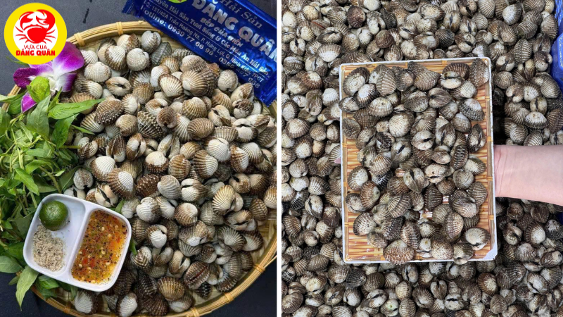 Giá sò huyết tươi