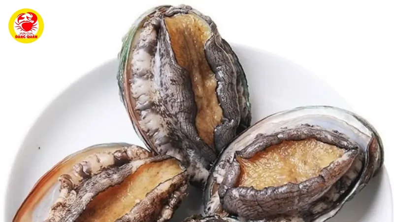 Tại sao bào ngư được mệnh danh là vàng của đại dương?