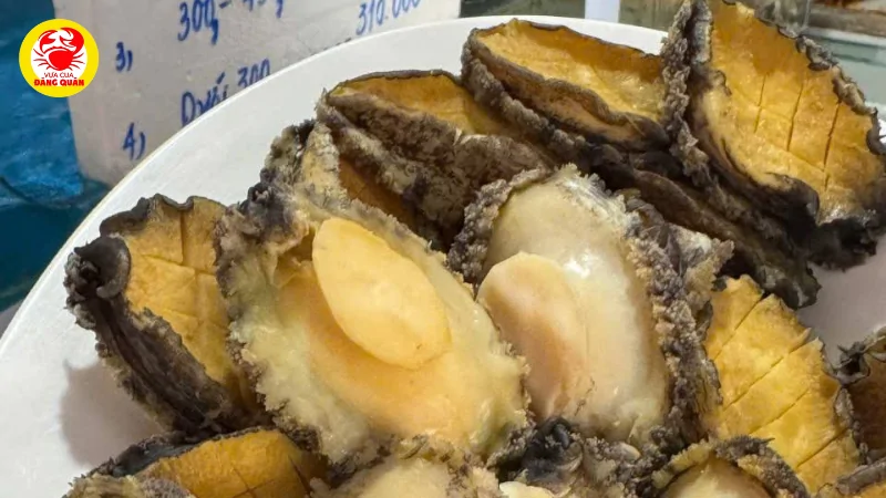 Giá bào ngư bao nhiêu 1kg? bảng giá tham khảo mới nhất