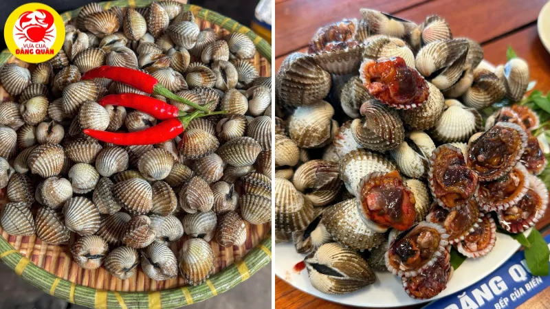 Món sò huyết hấp