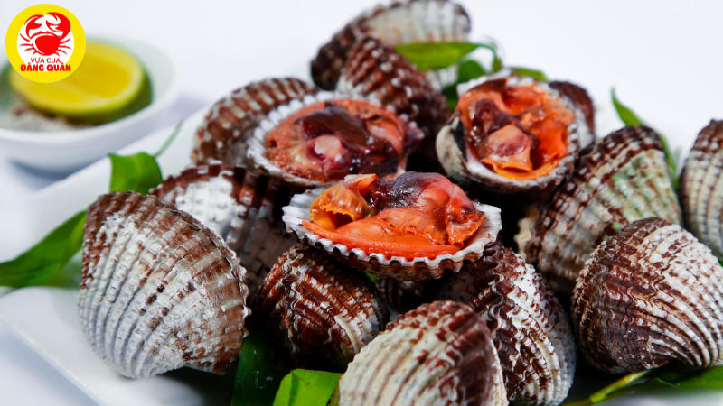 Sò huyết tốt cho đàn ông