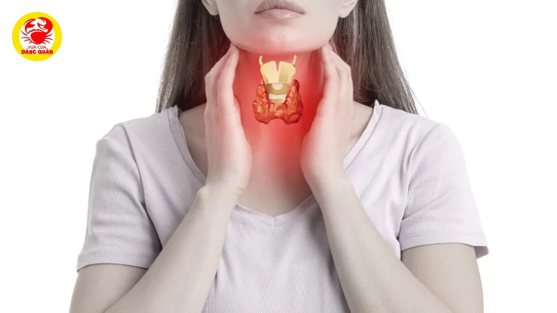 Hỗ trợ chức năng tuyến giáp