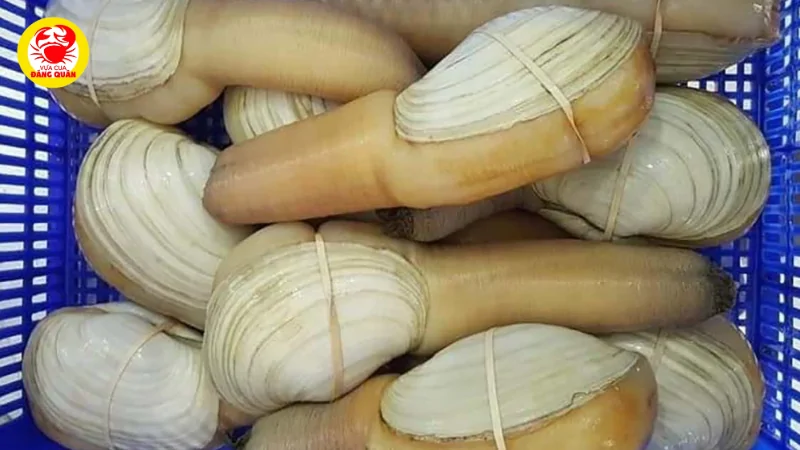 Những lợi ích vàng cho sức khỏe