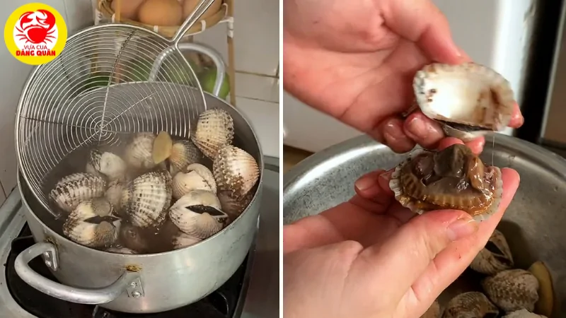 Luộc và tách sò huyết