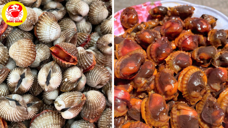 Mẹo chọn sò huyết tươi ngon