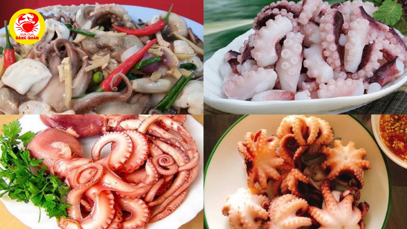 Gợi ý các món ngon từ bạch tuộc Gợi ý các món ngon từ bạch tuộc