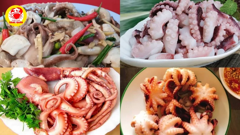 Gợi ý các món ngon từ bạch tuộc
