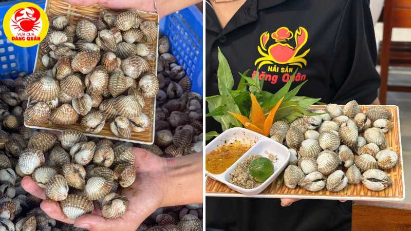 Nơi mua sò huyết tươi làm gỏi