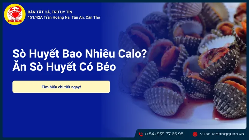 Ăn sò huyết có béo không
