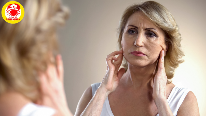 Sò huyết giúp tăng cường miễn dịch Sò huyết giúp tăng cường miễn dịch