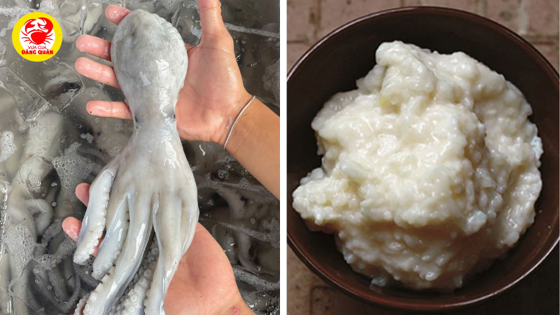 Nguyên liệu chính cơm mẻ và bạch tuộc