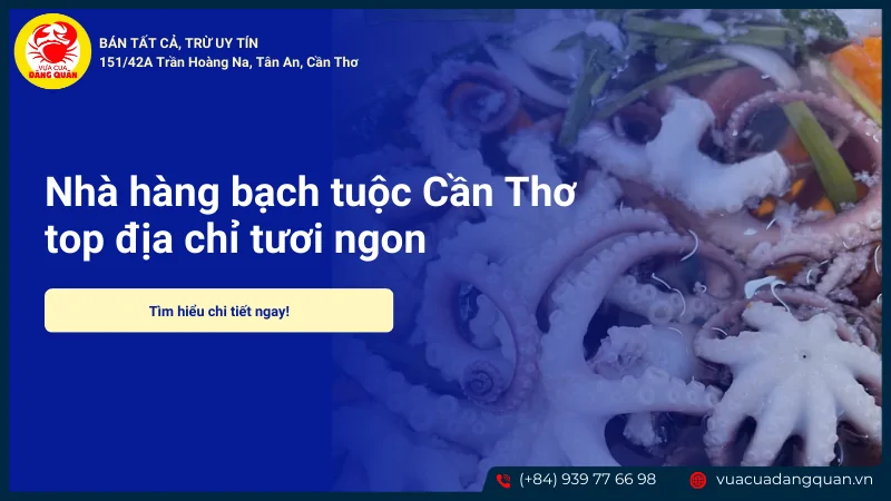 Nhà hàng bạch tuộc Cần Thơ