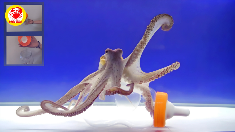 Những hành vi thông minh đáng kinh ngạc Những hành vi thông minh đáng kinh ngạc