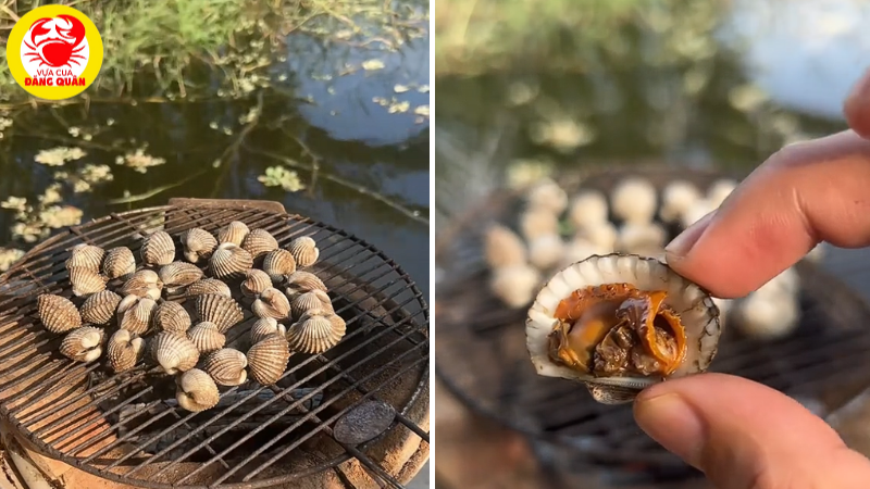 Sò huyết đang được nướng trên vỉ