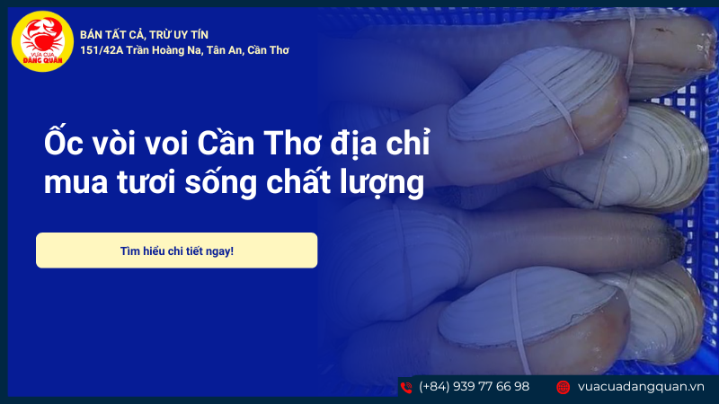 Ốc vòi voi Cần Thơ