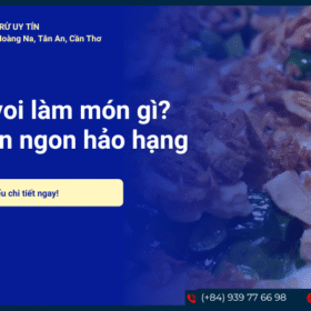 Ốc vòi voi làm món gì? 10+ món ngon hảo hạng tại nhà