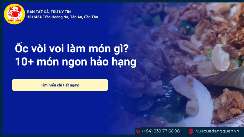 Ốc vòi voi làm món gì? 10+ món ngon hảo hạng tại nhà