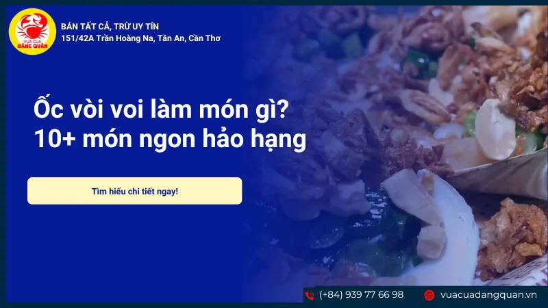 Ốc vòi voi làm món gì? 10+ món ngon hảo hạng tại nhà