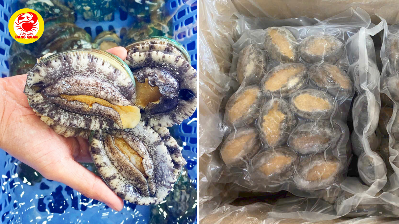 Phân biệt bào ngư tươi sống, đông lạnh và bào ngư khô Phân biệt bào ngư tươi sống, đông lạnh và bào ngư khô