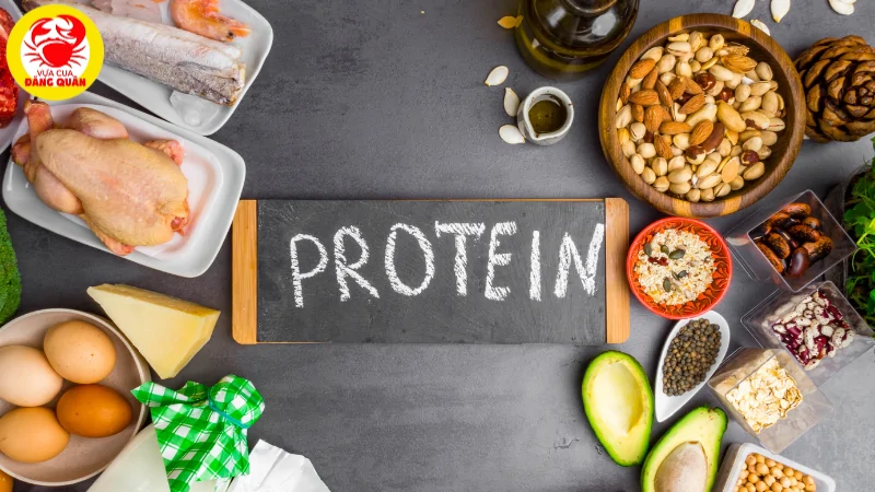 Sò huyết bổ sung protein cho nam giới