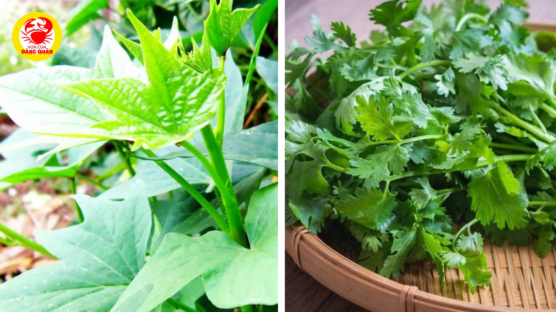 Các loại rau ăn kèm