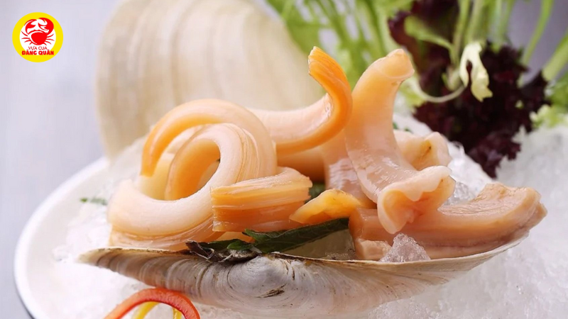 Sashimi ốc vòi voi Sashimi ốc vòi voi