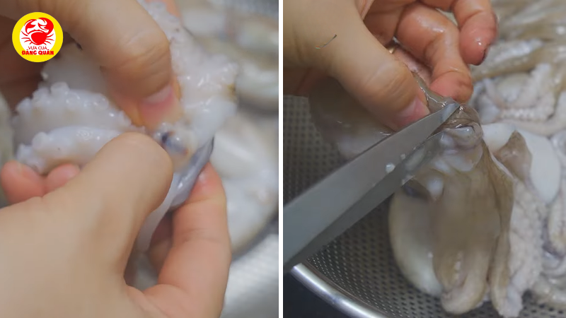 Sơ chế bạch tuộc để chế biến 