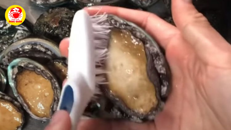 Hướng dẫn sơ chế bào ngư chi tiết, không tanh Hướng dẫn sơ chế bào ngư chi tiết, không tanh