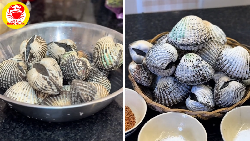 Sơ chế sò trước khi luộc Sơ chế sò trước khi luộc