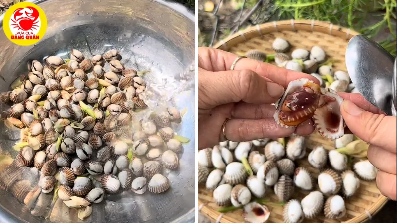 Sơ chế sò huyết sạch sẽ