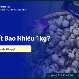 Sò huyết bao nhiêu 1kg
