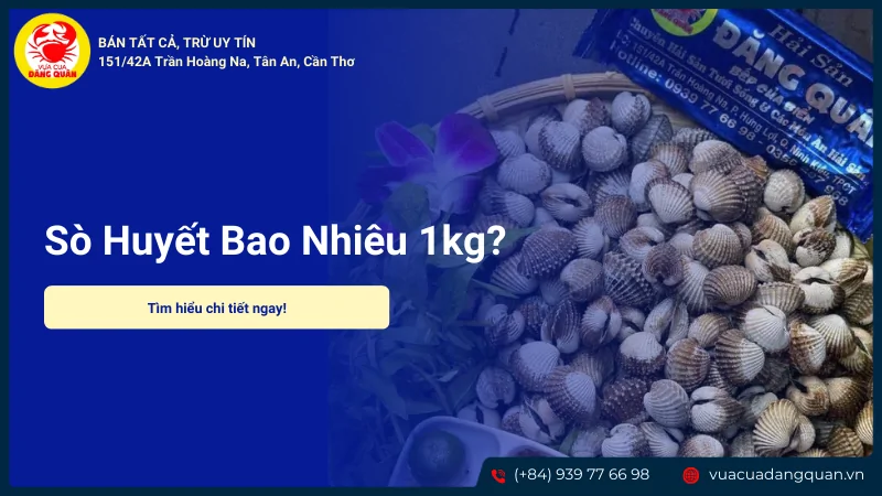 Sò huyết bao nhiêu 1kg