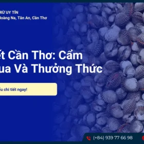 Sò huyết Cần Thơ