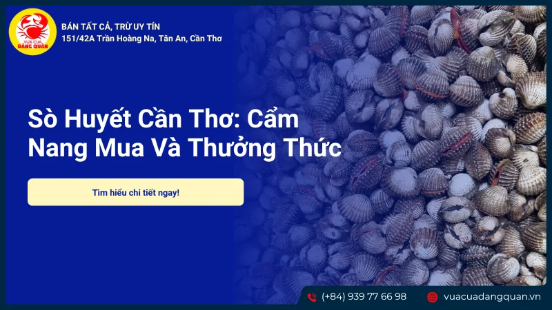 Sò huyết Cần Thơ