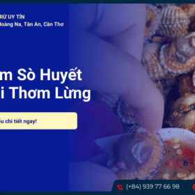 Sò huyết cháy tỏi